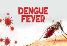 Ministry Of Health Urges Vigilance Amid Increase In Dengue Cases